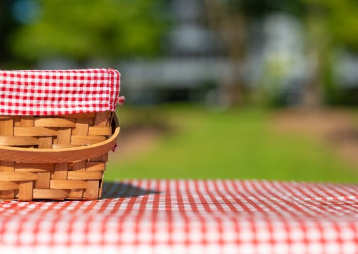 celebrate picnic month with these 10 products from amazon