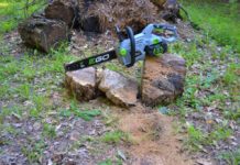 EGO Chainsaw Review