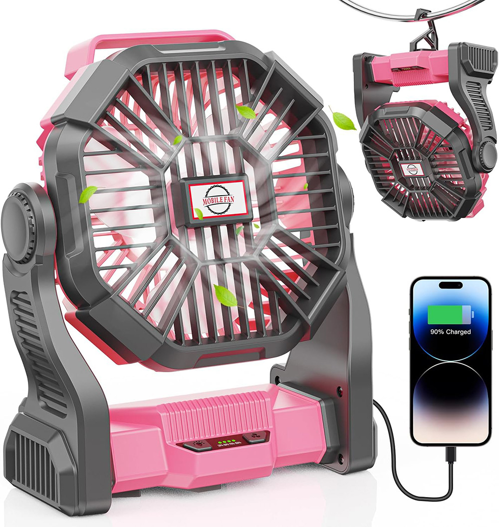 Picnic Month: portable fan for picnics